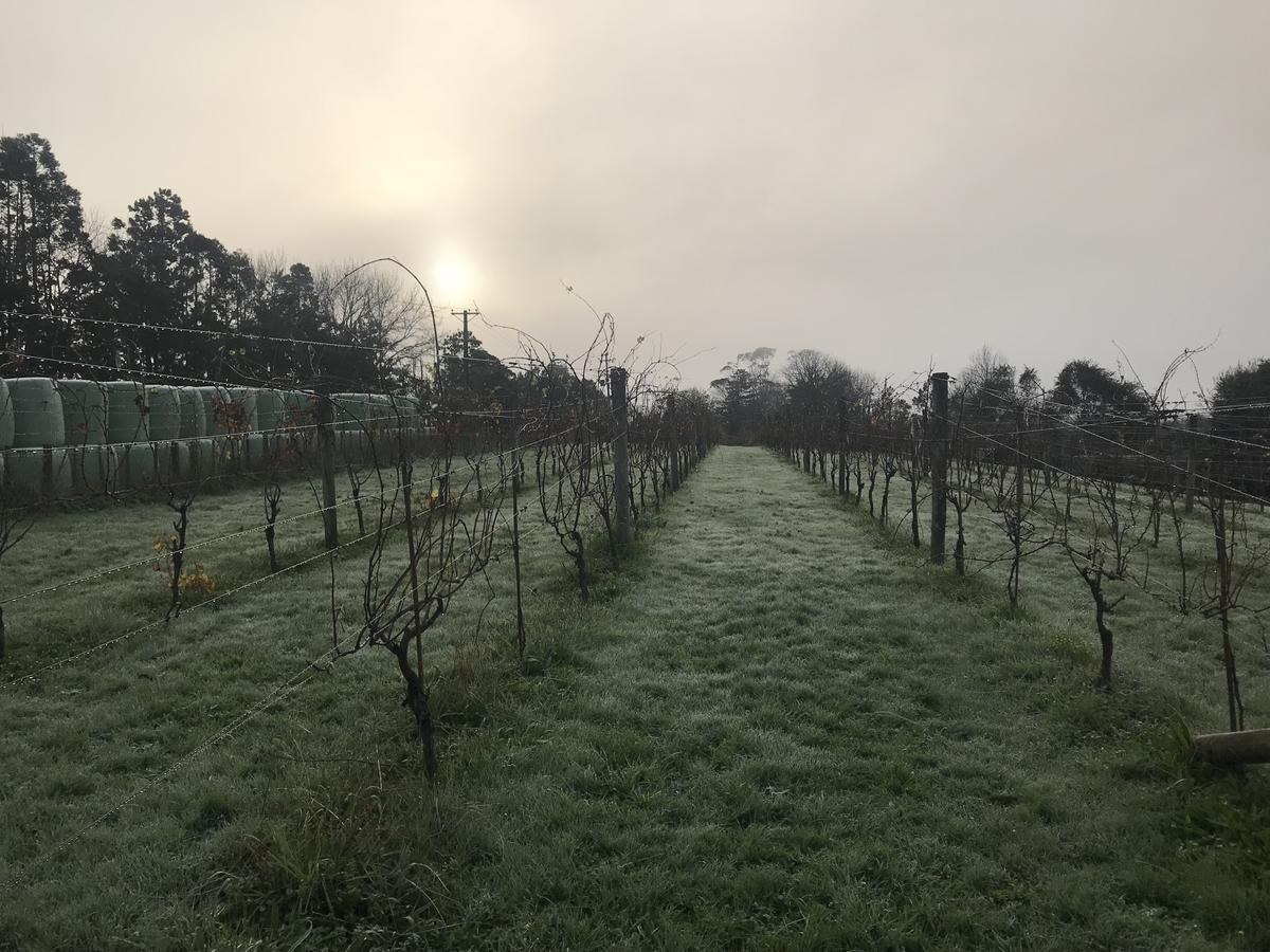 Vineyard Cottages - Kumeu Waimauku Экстерьер фото